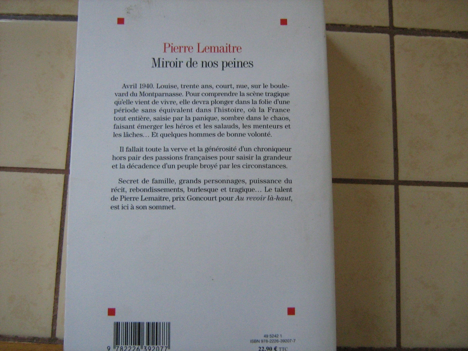 miroir de nos peines – photo 3